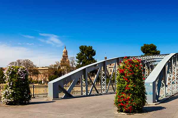 The Puente Nuevo or Puente de Hierro - Tourism in Murcia