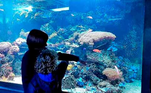 Aquarium of the University - Tourism in Murcia