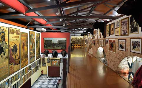 Museo Taurino - Turismo de Murcia