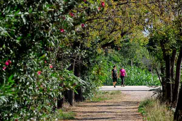 Nature in Murcia. The Orchard of Murcia - Tourism in Murcia