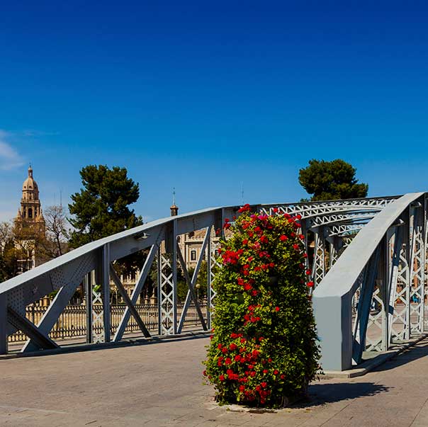 Puentes de Murcia - Visitas guiadas - Turismo de Murcia
