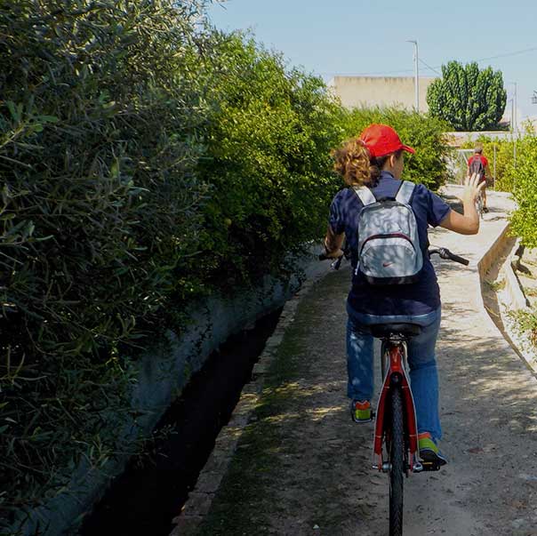 Visita huerta en bicicleta - Visitas guiadas - Turismo de Murcia